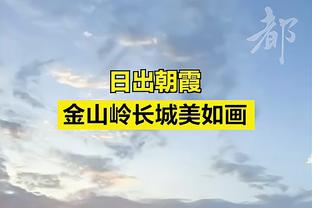 半岛电子官方网站下载手机版安卓截图2